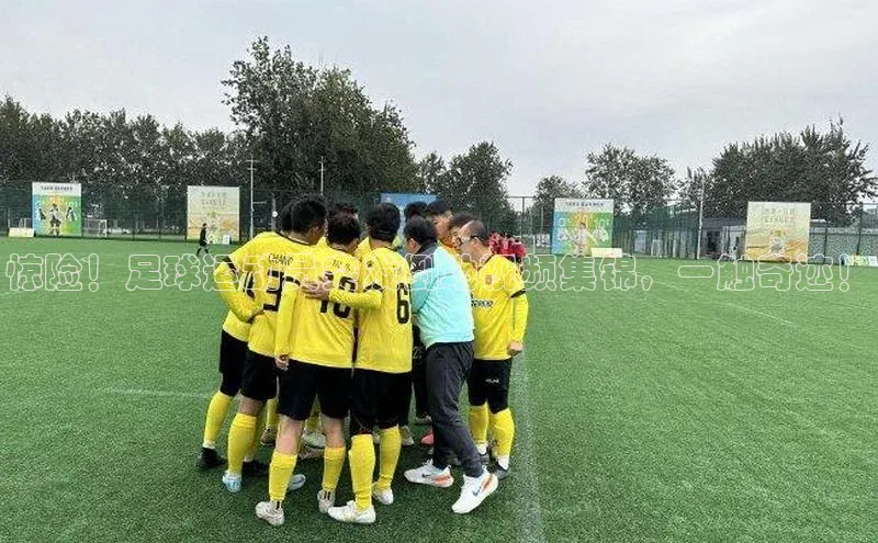杏宇平台每日互动