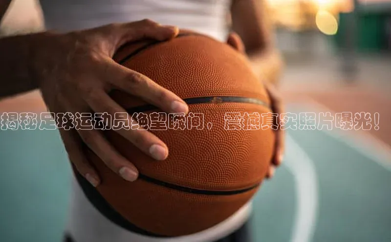 杏宇手游官网入口最新版本更新内容百度取证
