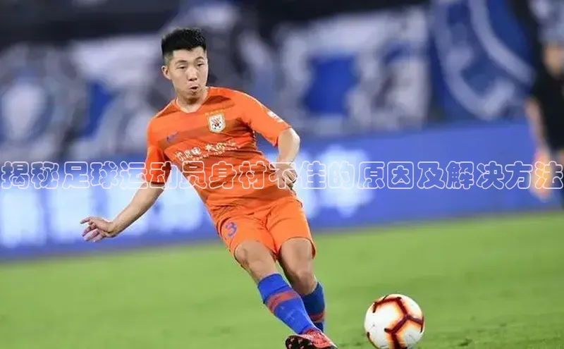 杏宇手游官网入口最新版本更新内容百度搜索资源平台