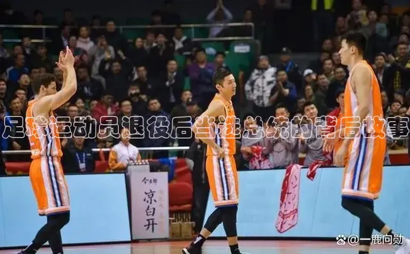 杏宇平台直属观星盘