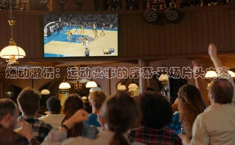 杏宇代理登录中心