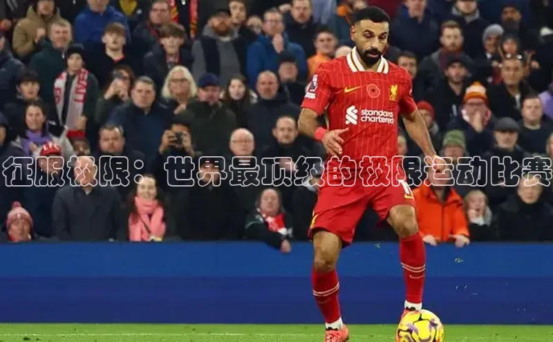 杏宇代理登录中心