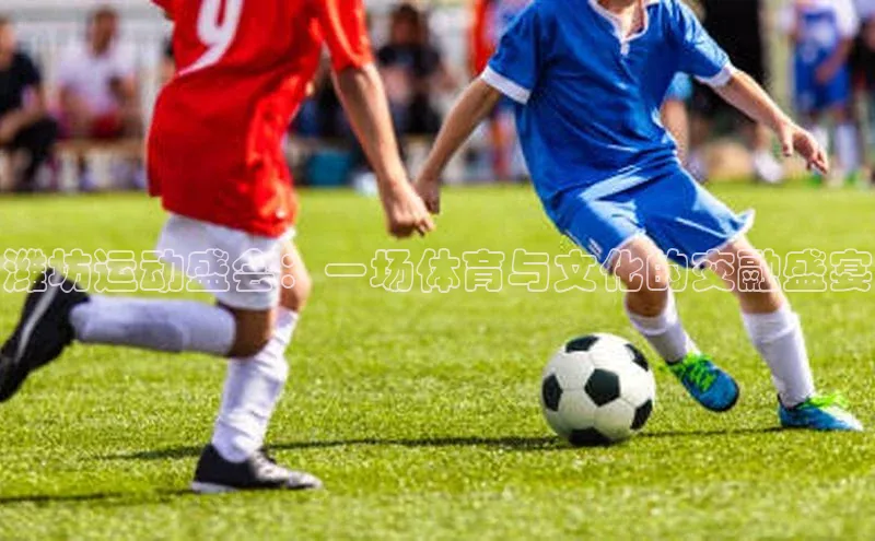 杏宇注册平台登录